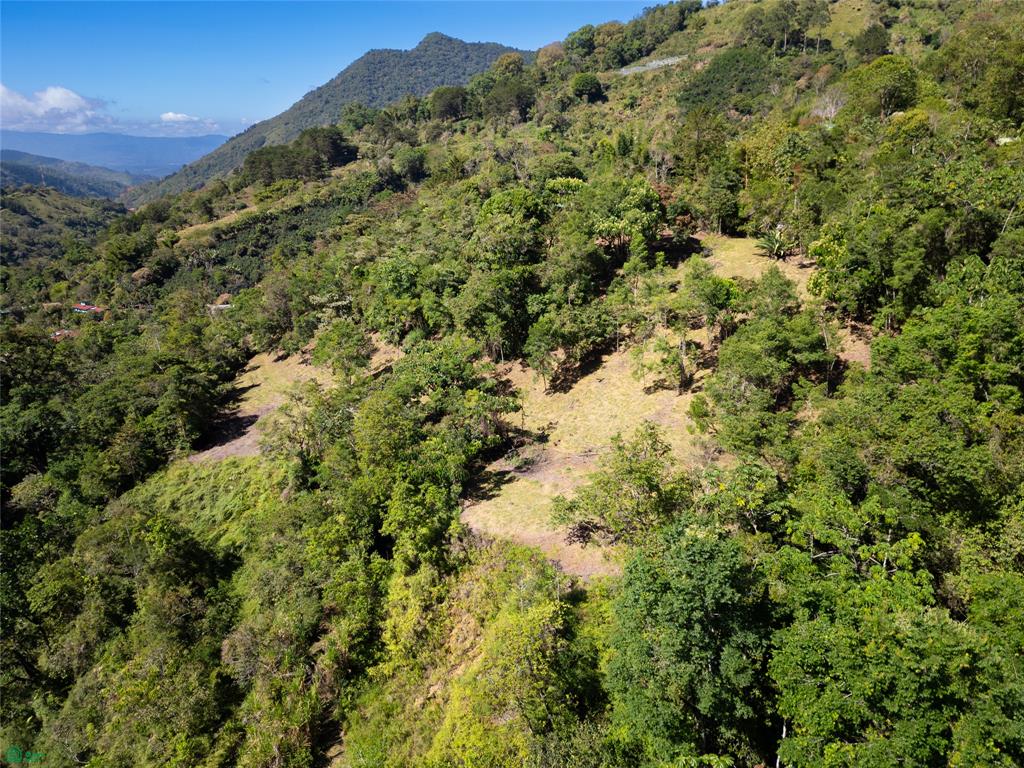 Finca Talamanca