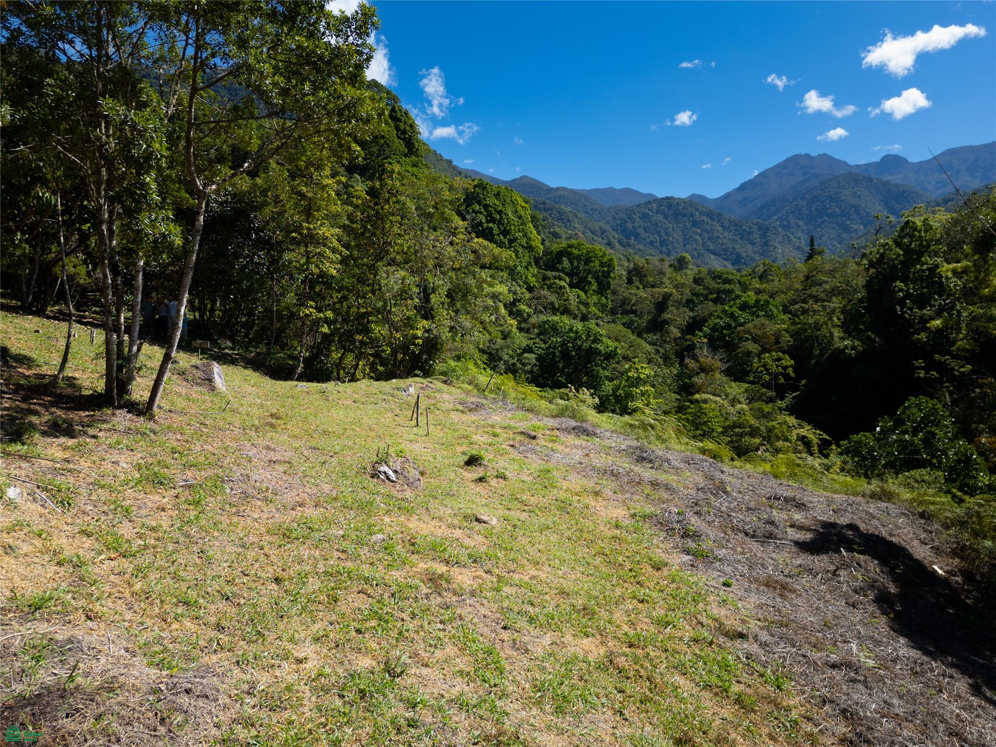 Finca Talamanca