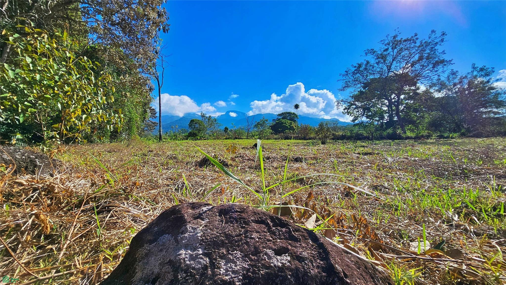 Playa Verde Creekside Lot