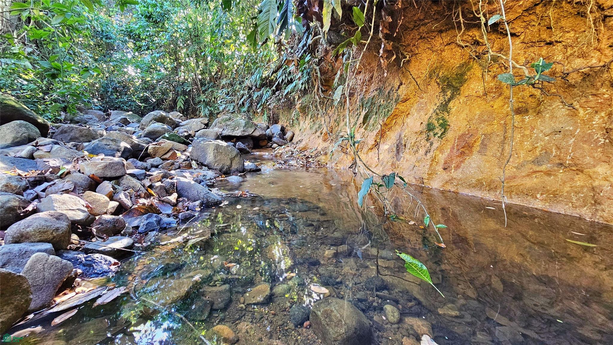 Playa Verde Creekside Lot
