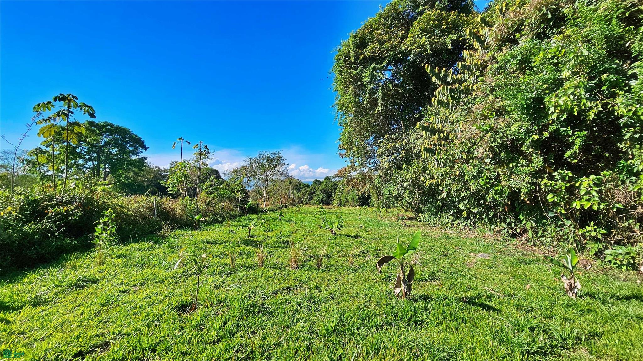 Playa Verde Creekside Lot
