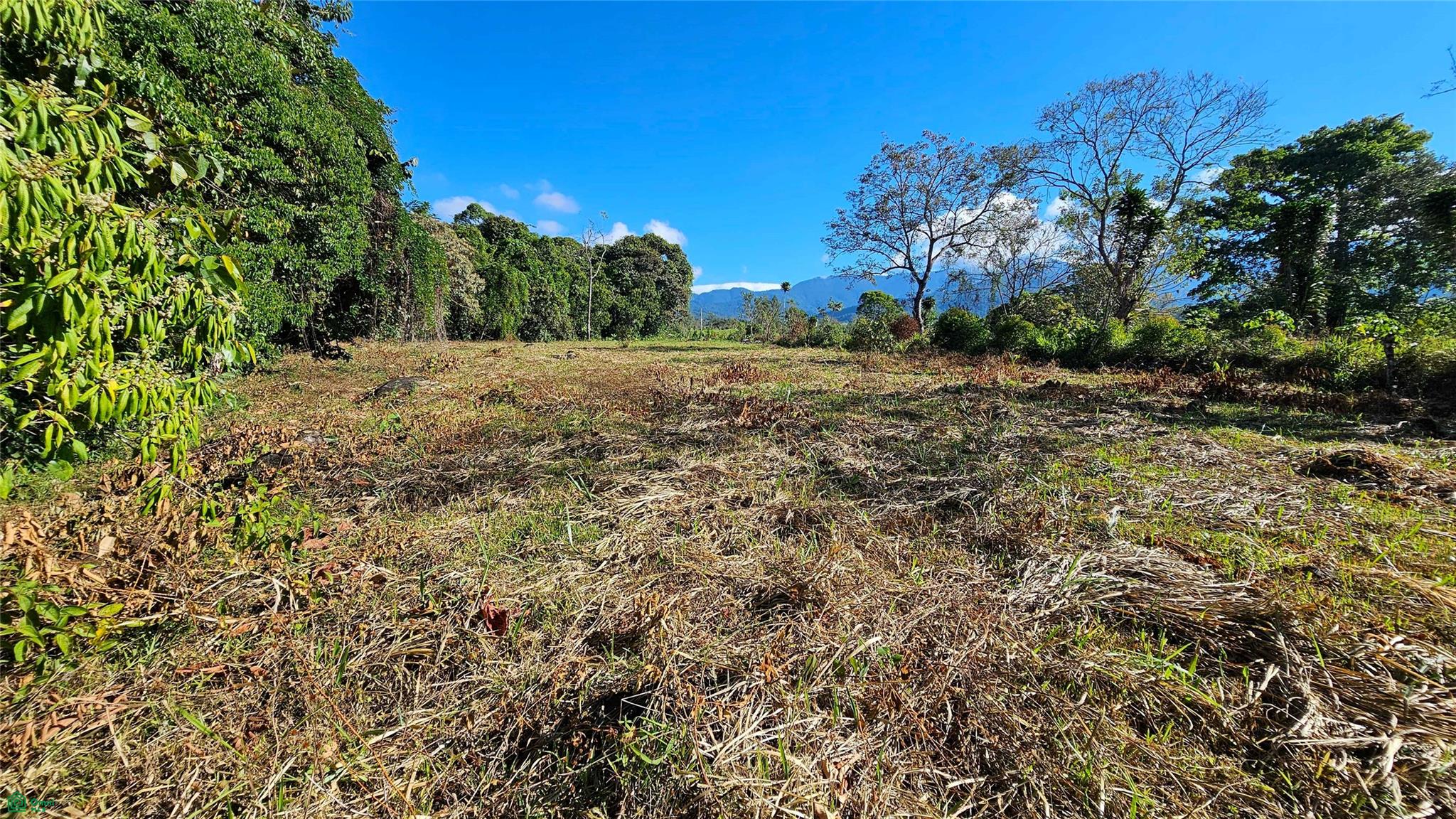 Playa Verde Creekside Lot