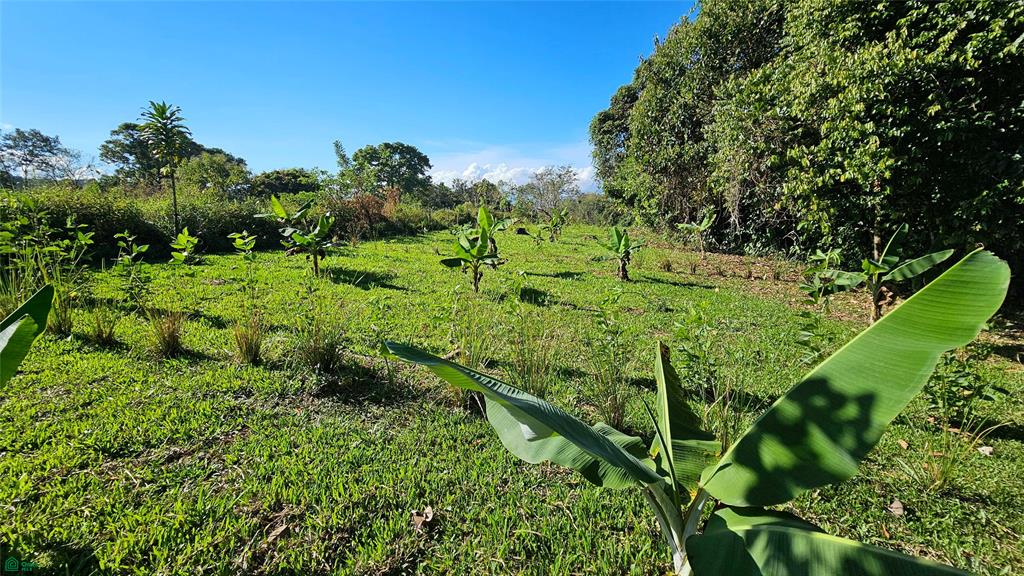 Playa Verde Creekside Lot