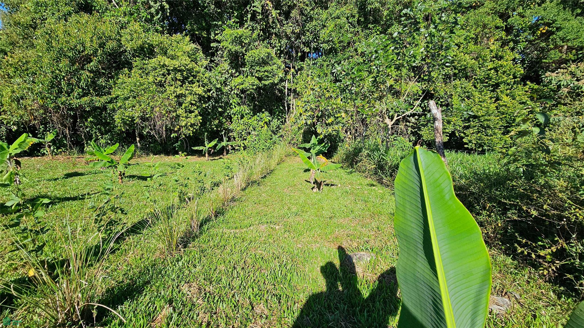Playa Verde Creekside Lot