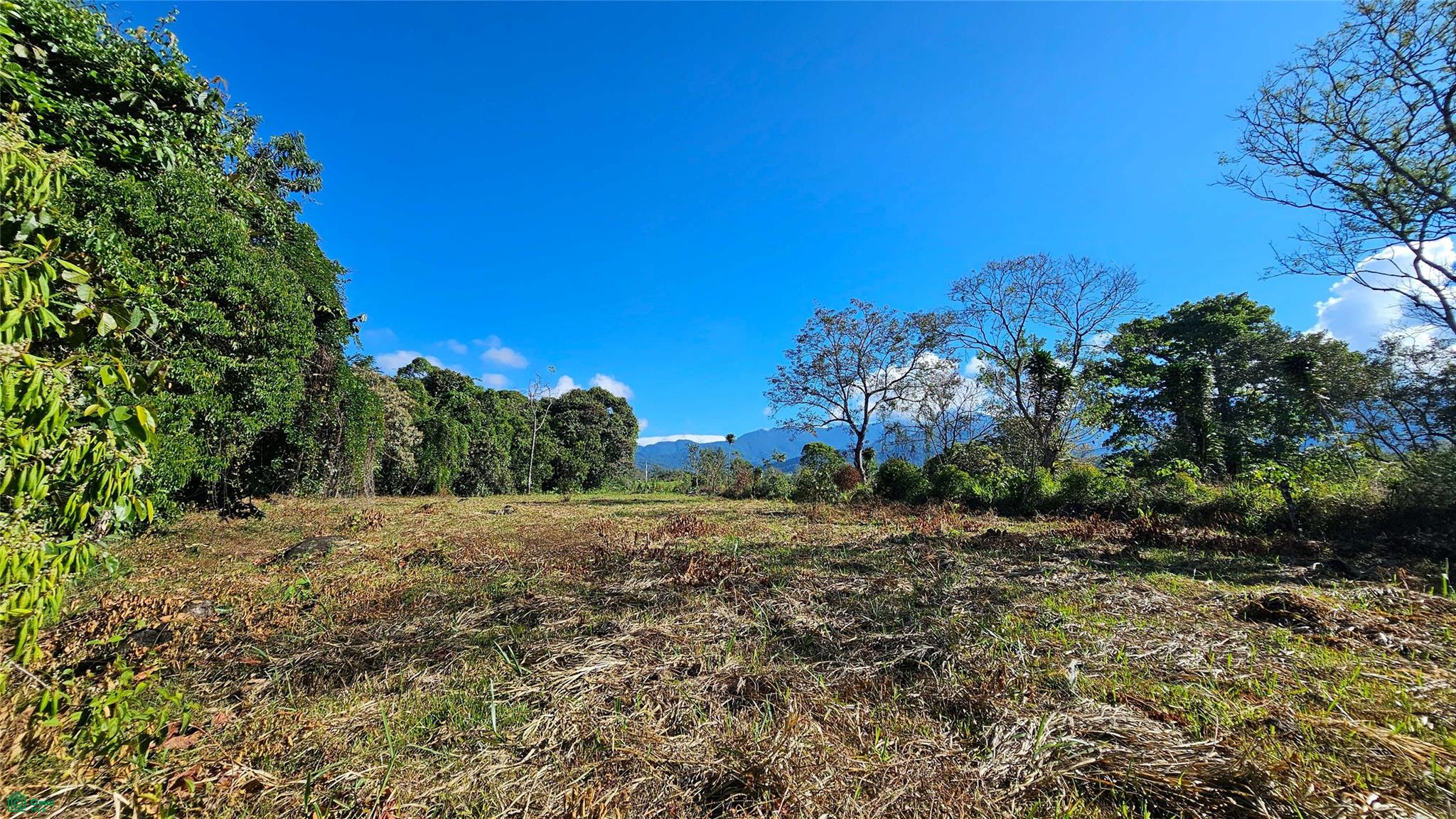 Playa Verde Creekside Lot