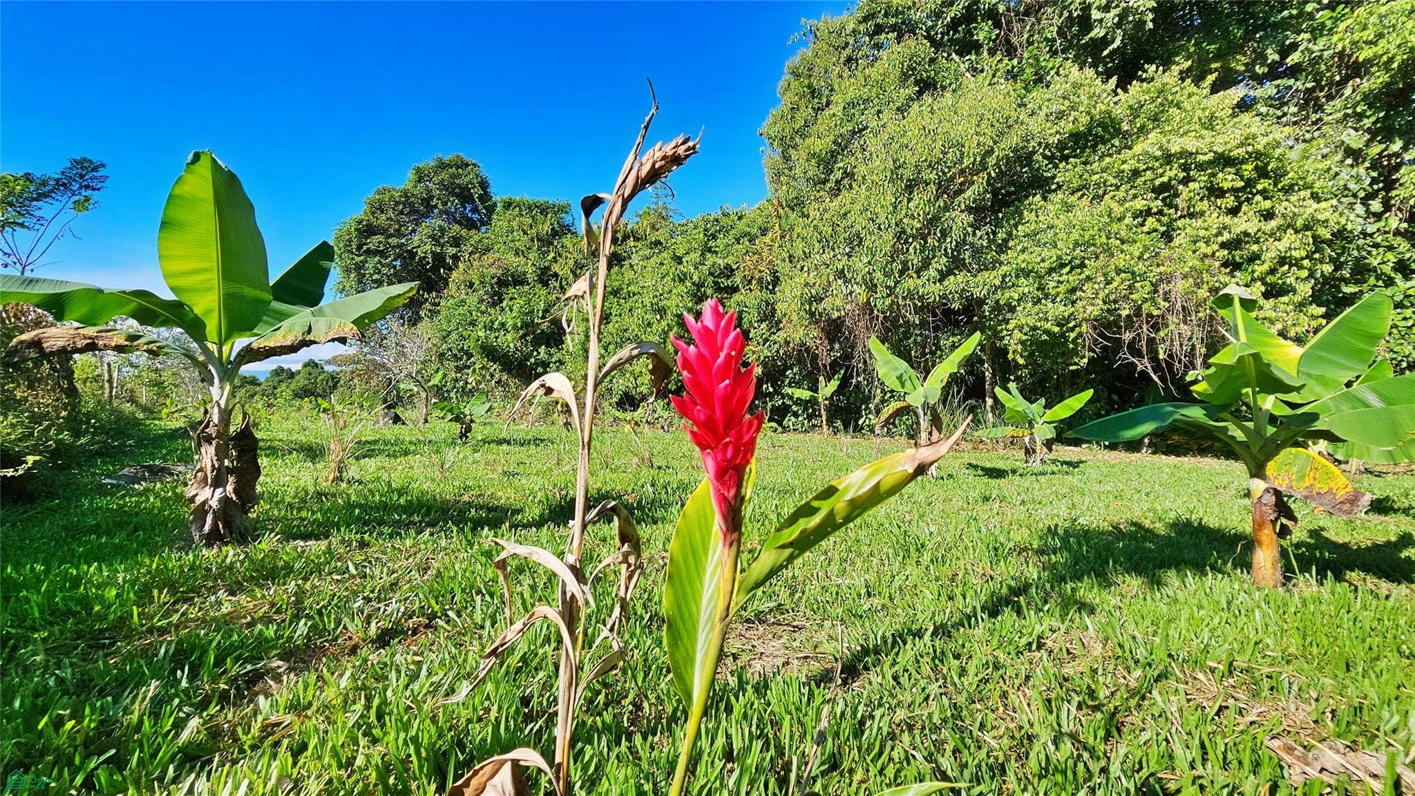 Playa Verde Creekside Lot