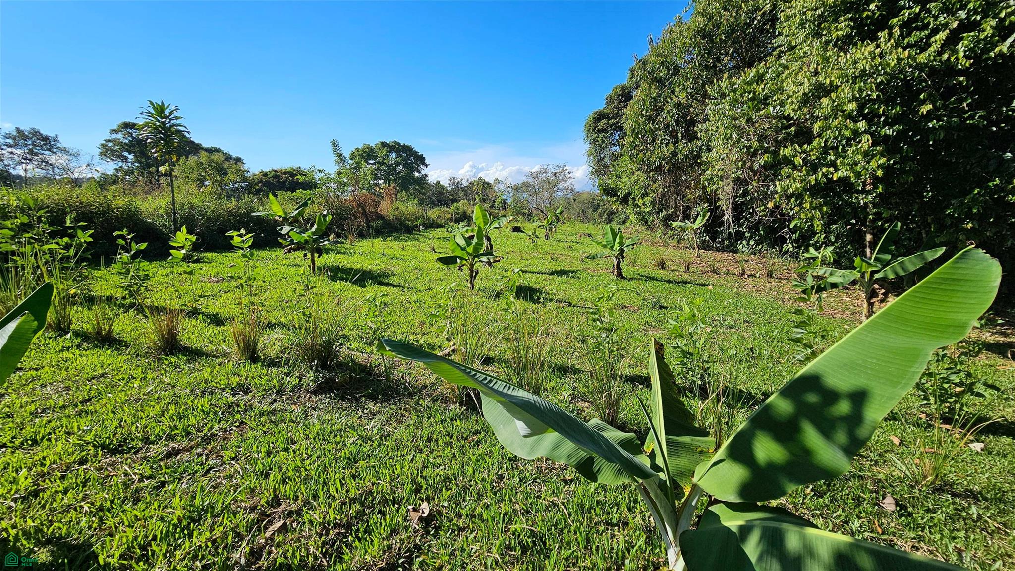 Playa Verde Creekside Lot
