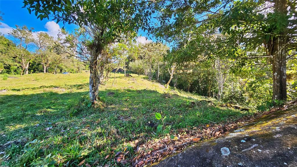 Playa Verde Permaculture Corner Lot