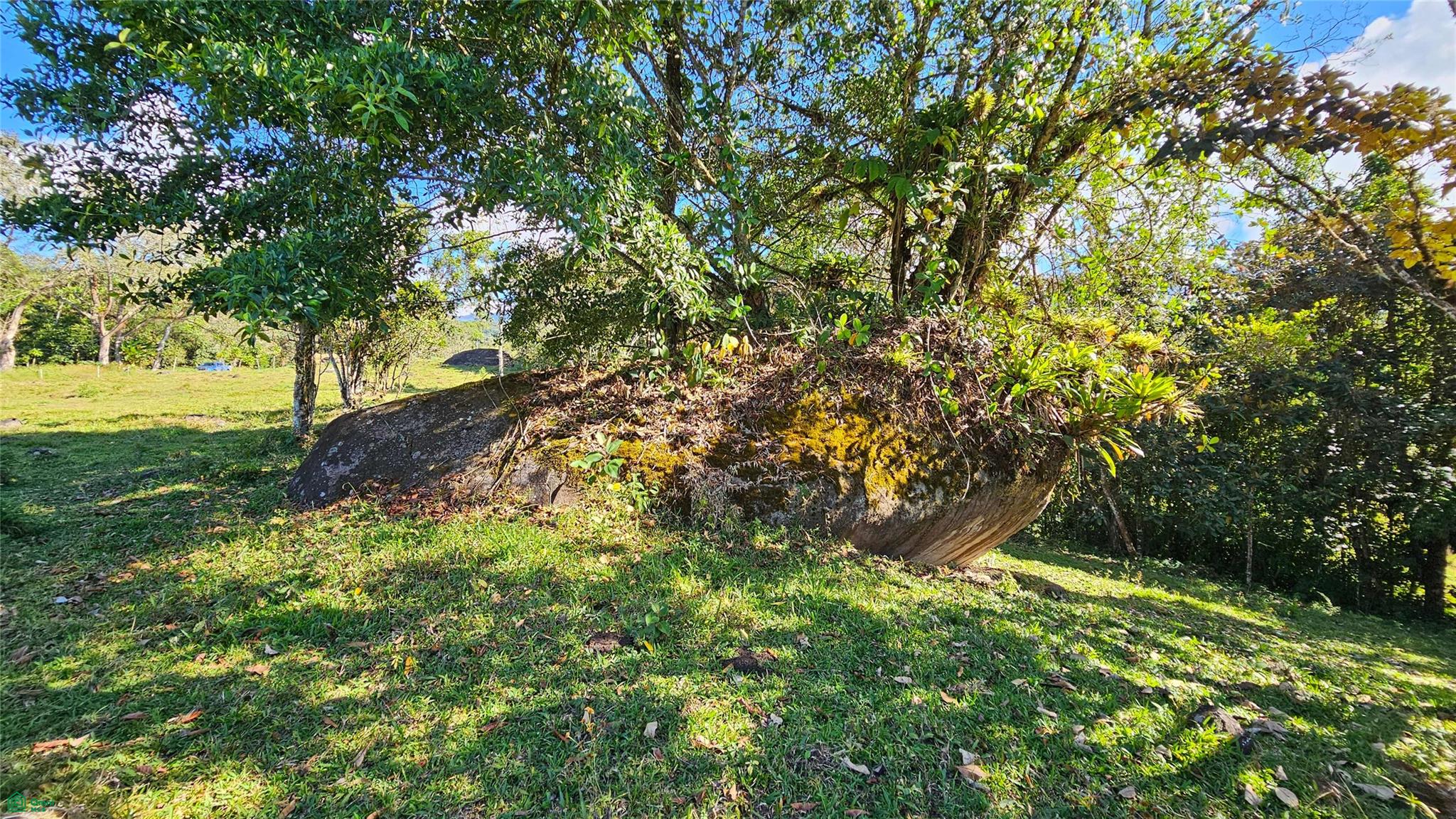 Playa Verde Permaculture Corner Lot