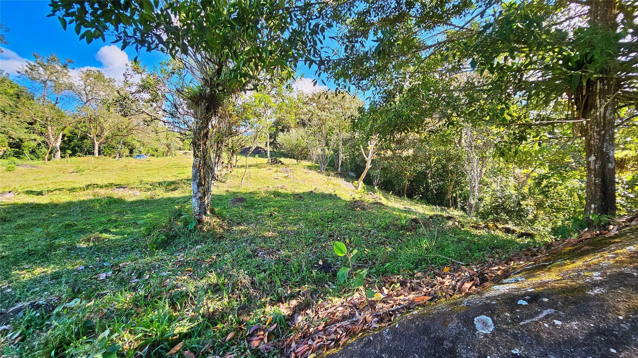 Playa Verde Permaculture Corner Lot