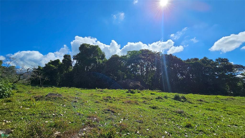 Playa Verde Permaculture Lot