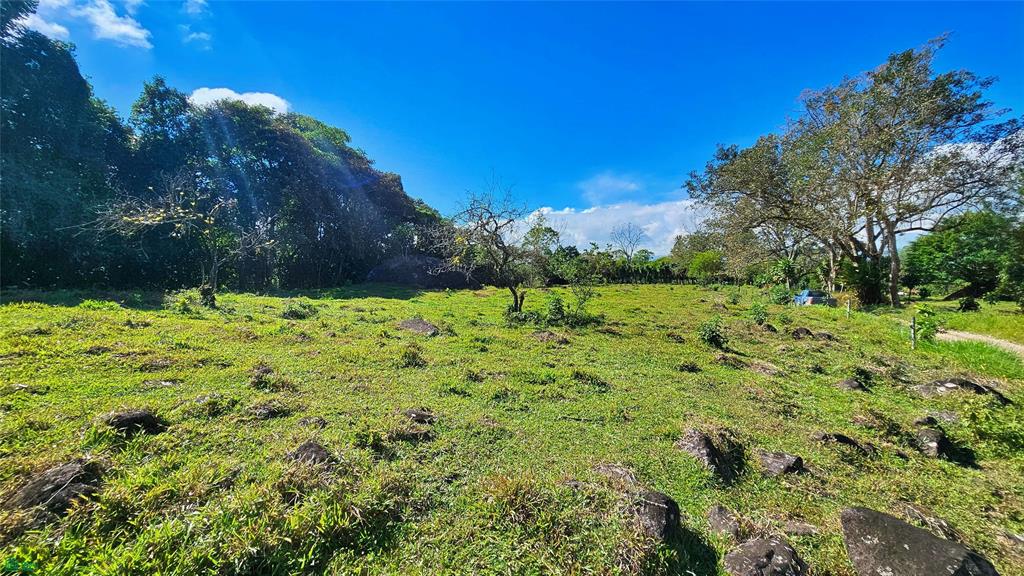 Playa Verde Permaculture Lot