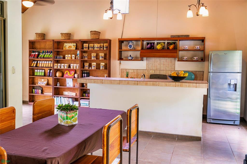 Exclusive Cacao Farm & Luxury Retreat