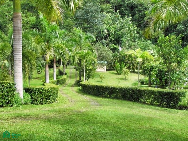 Exclusive Cacao Farm & Luxury Retreat