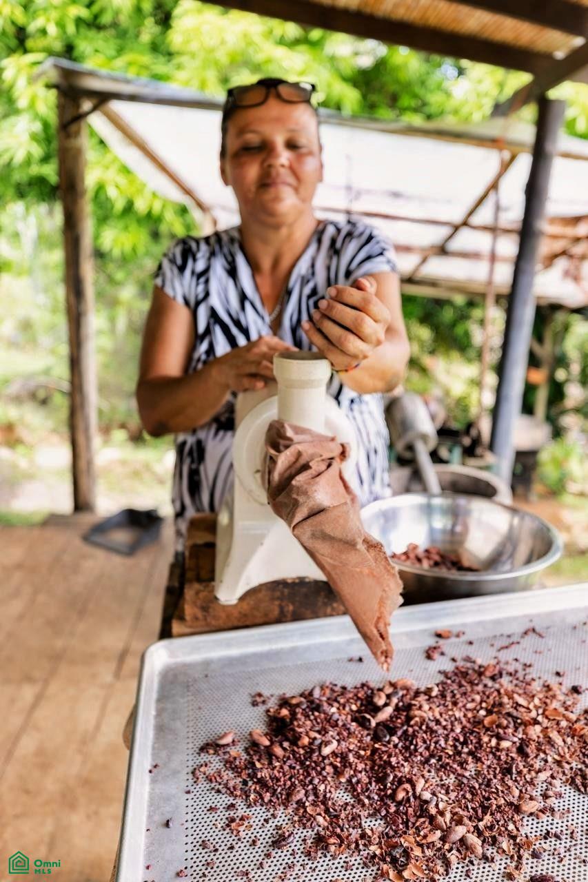 Exclusive Cacao Farm & Luxury Retreat