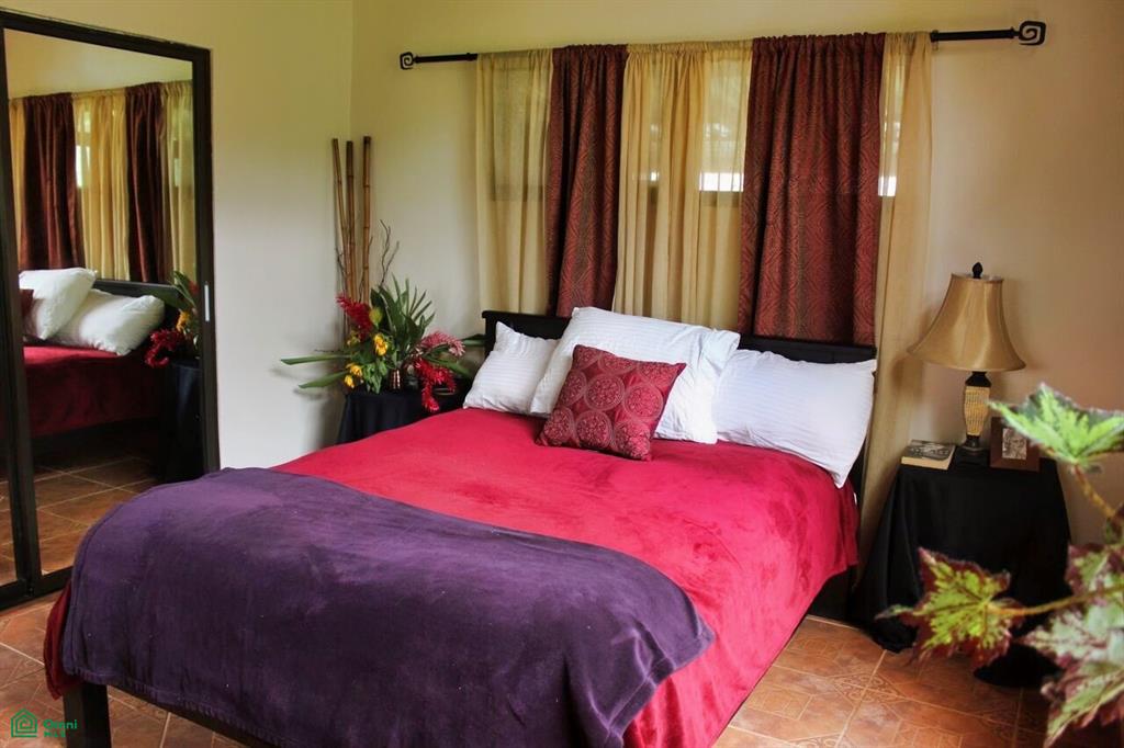 Exclusive Cacao Farm & Luxury Retreat