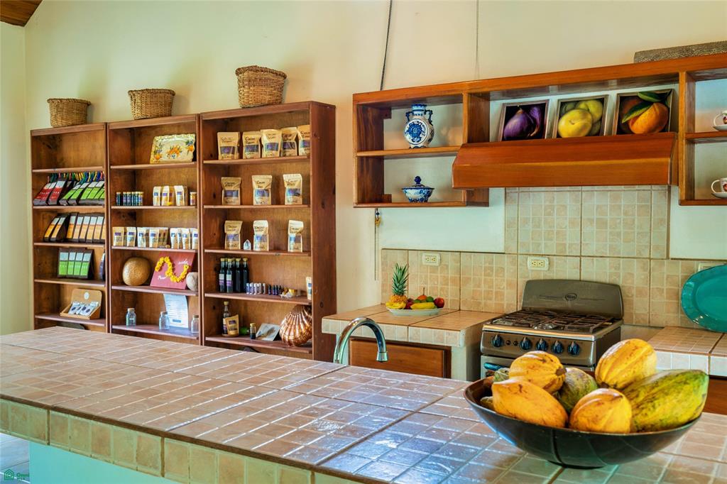 Exclusive Cacao Farm & Luxury Retreat