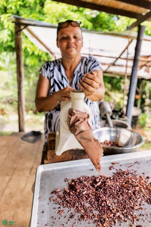 Exclusive Cacao Farm & Luxury Retreat