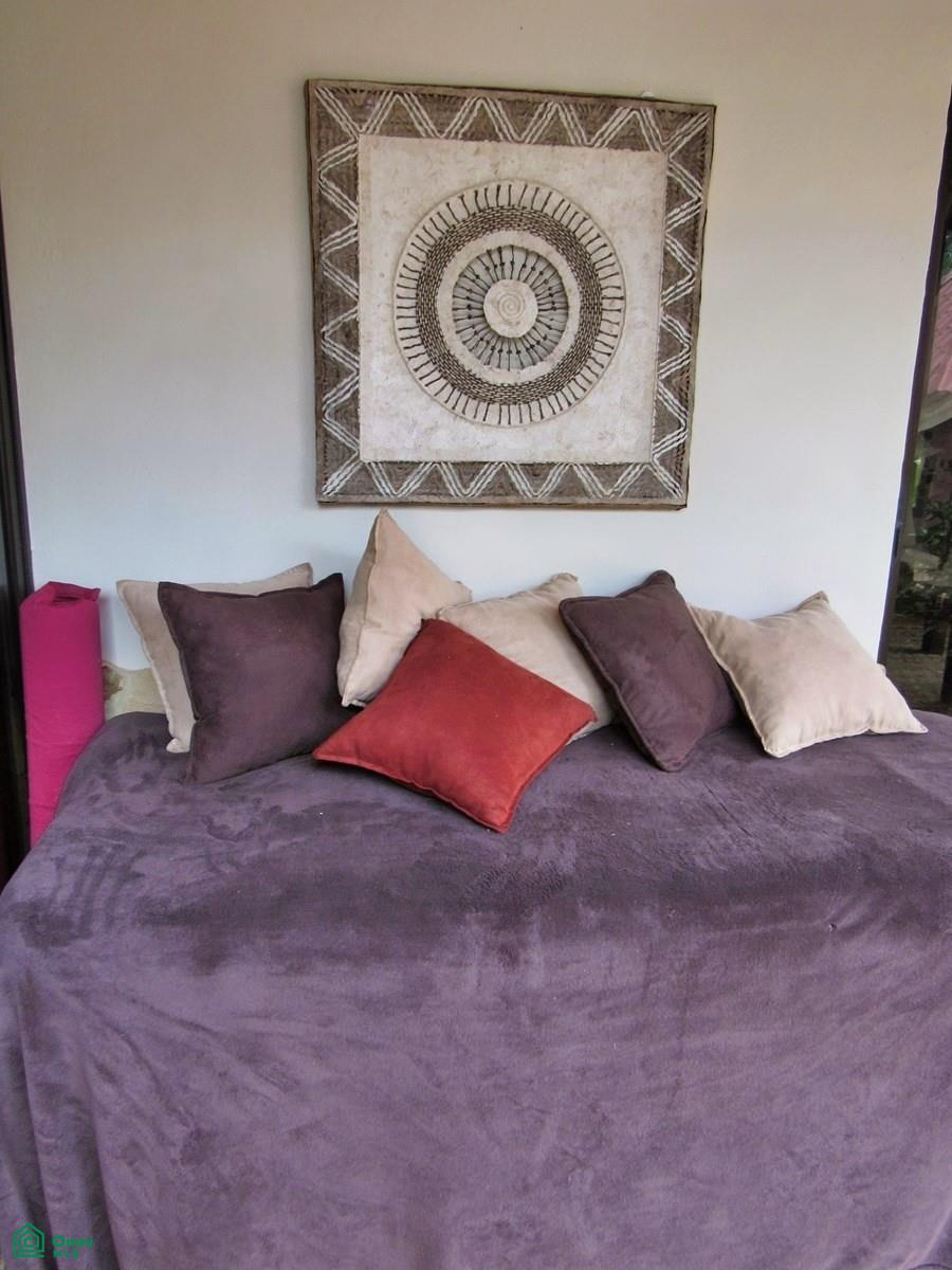 Exclusive Cacao Farm & Luxury Retreat
