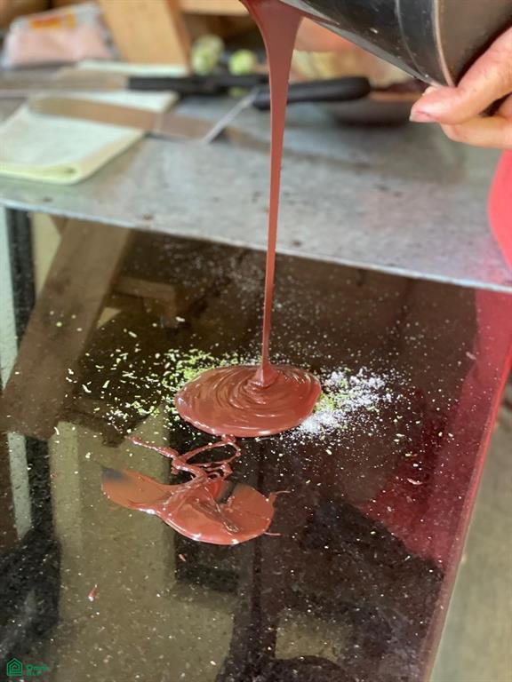 Exclusive Cacao Farm & Luxury Retreat