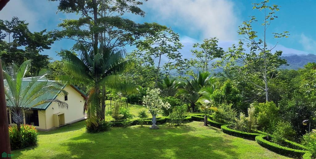 Exclusive Cacao Farm & Luxury Retreat