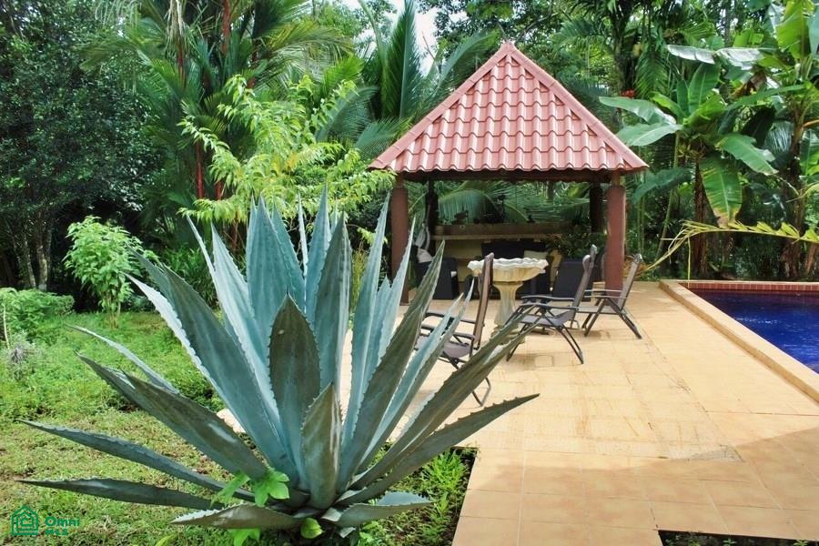 Exclusive Cacao Farm & Luxury Retreat