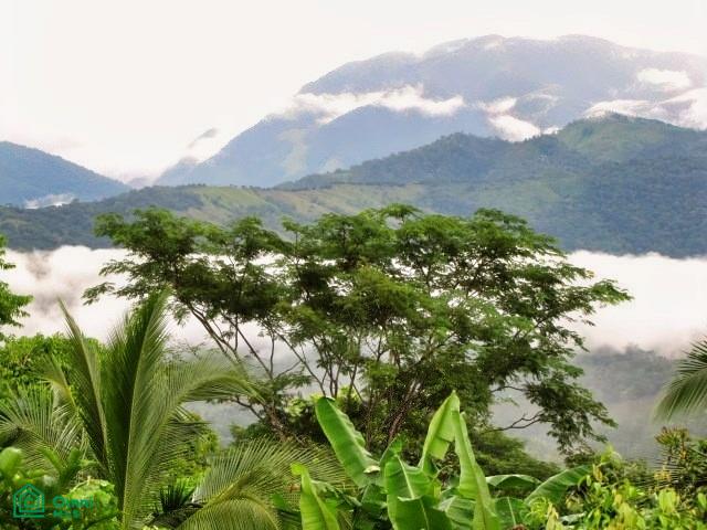 Exclusive Cacao Farm & Luxury Retreat