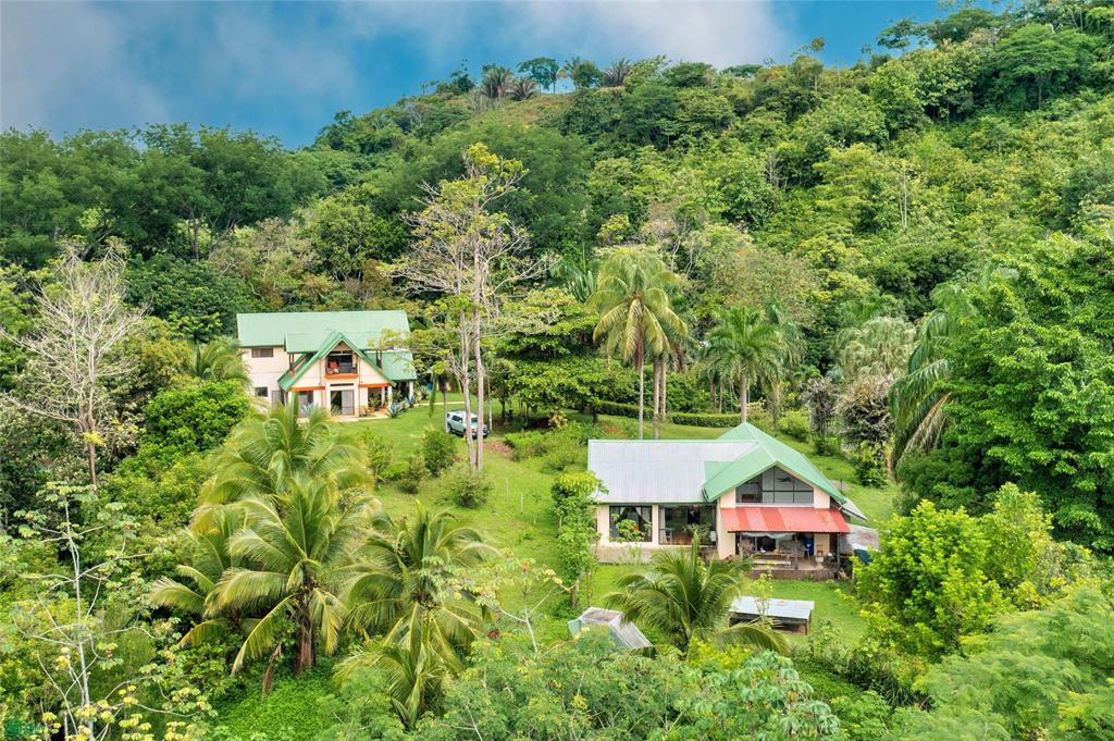Exclusive Cacao Farm & Luxury Retreat