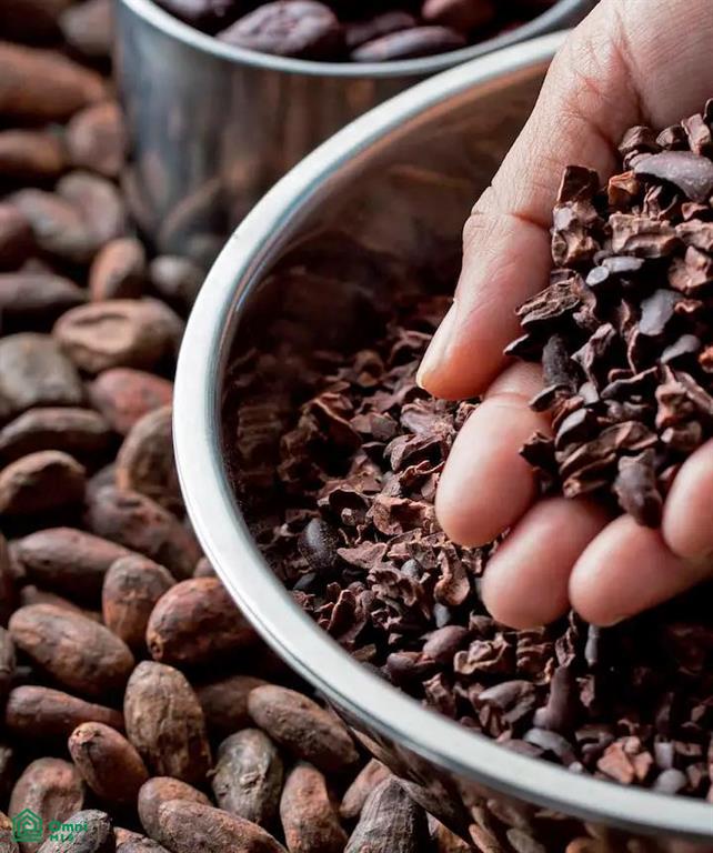 Exclusive Cacao Farm & Luxury Retreat