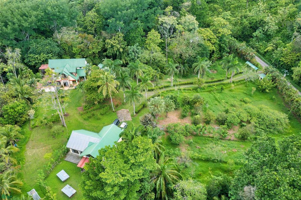 Exclusive Cacao Farm & Luxury Retreat