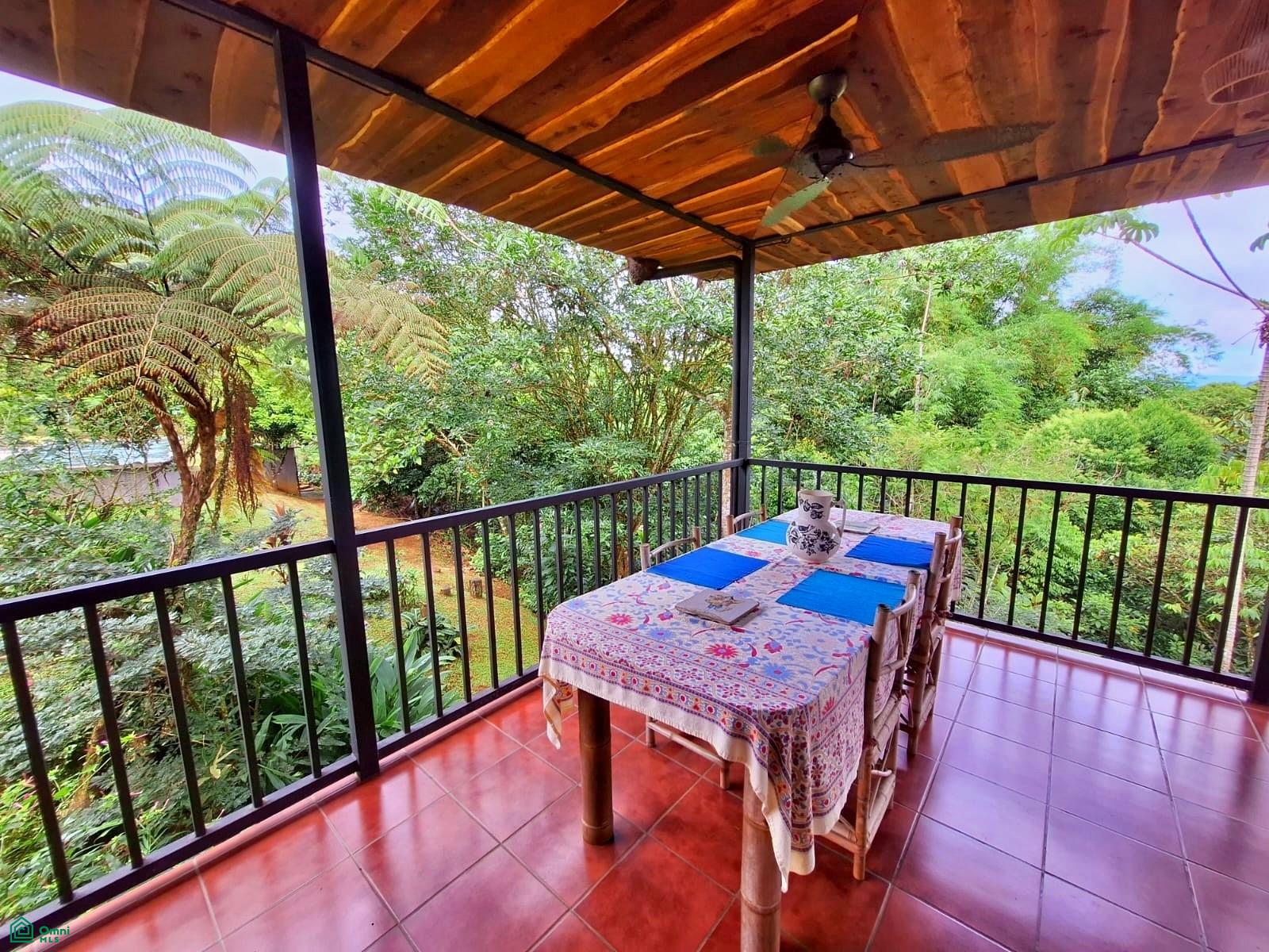 Tropical Bird Watcher’s Paradise