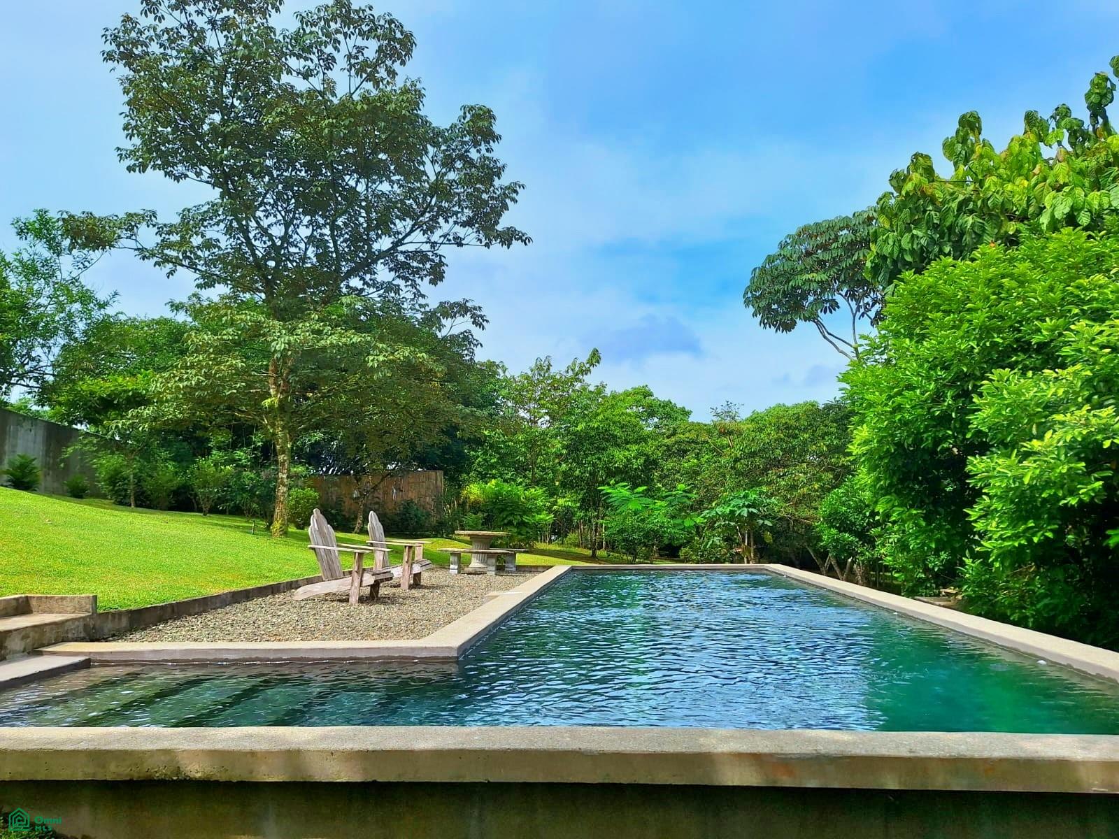 Tropical Bird Watcher’s Paradise