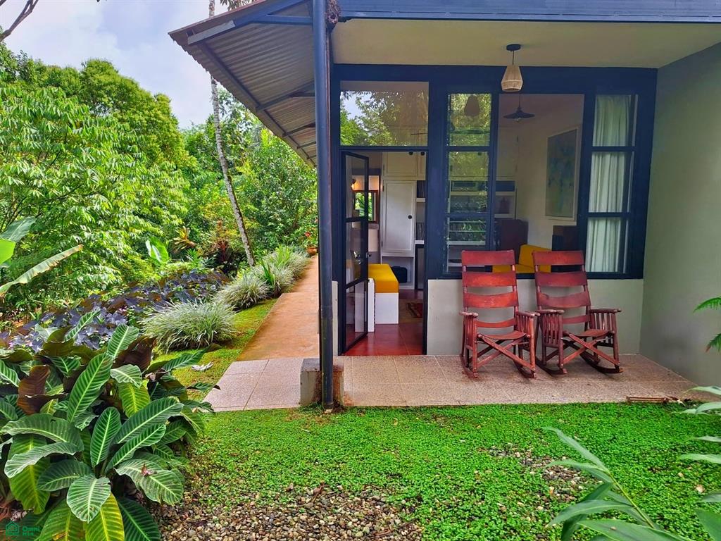 Tropical Bird Watcher’s Paradise