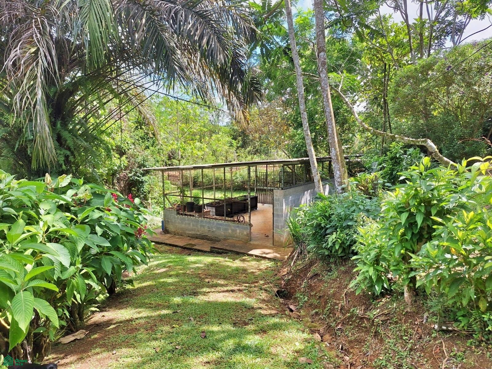 Tropical Bird Watcher’s Paradise
