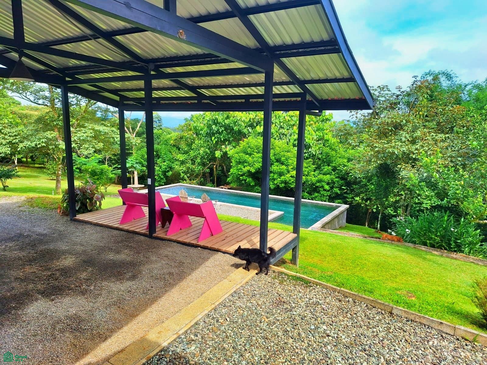 Tropical Bird Watcher’s Paradise