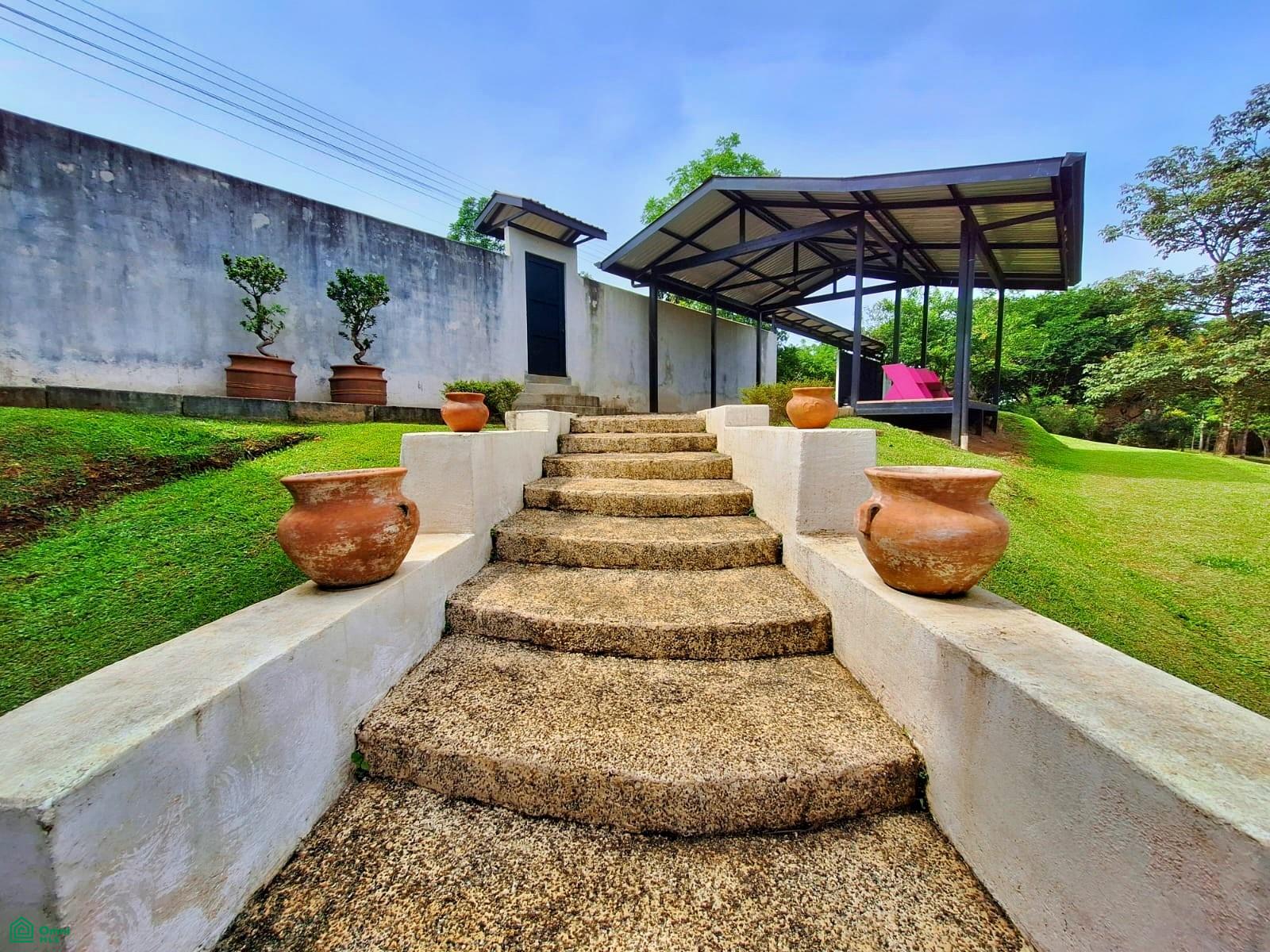 Tropical Bird Watcher’s Paradise