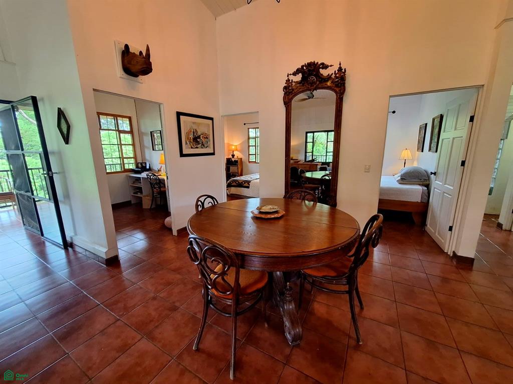 Tropical Bird Watcher’s Paradise