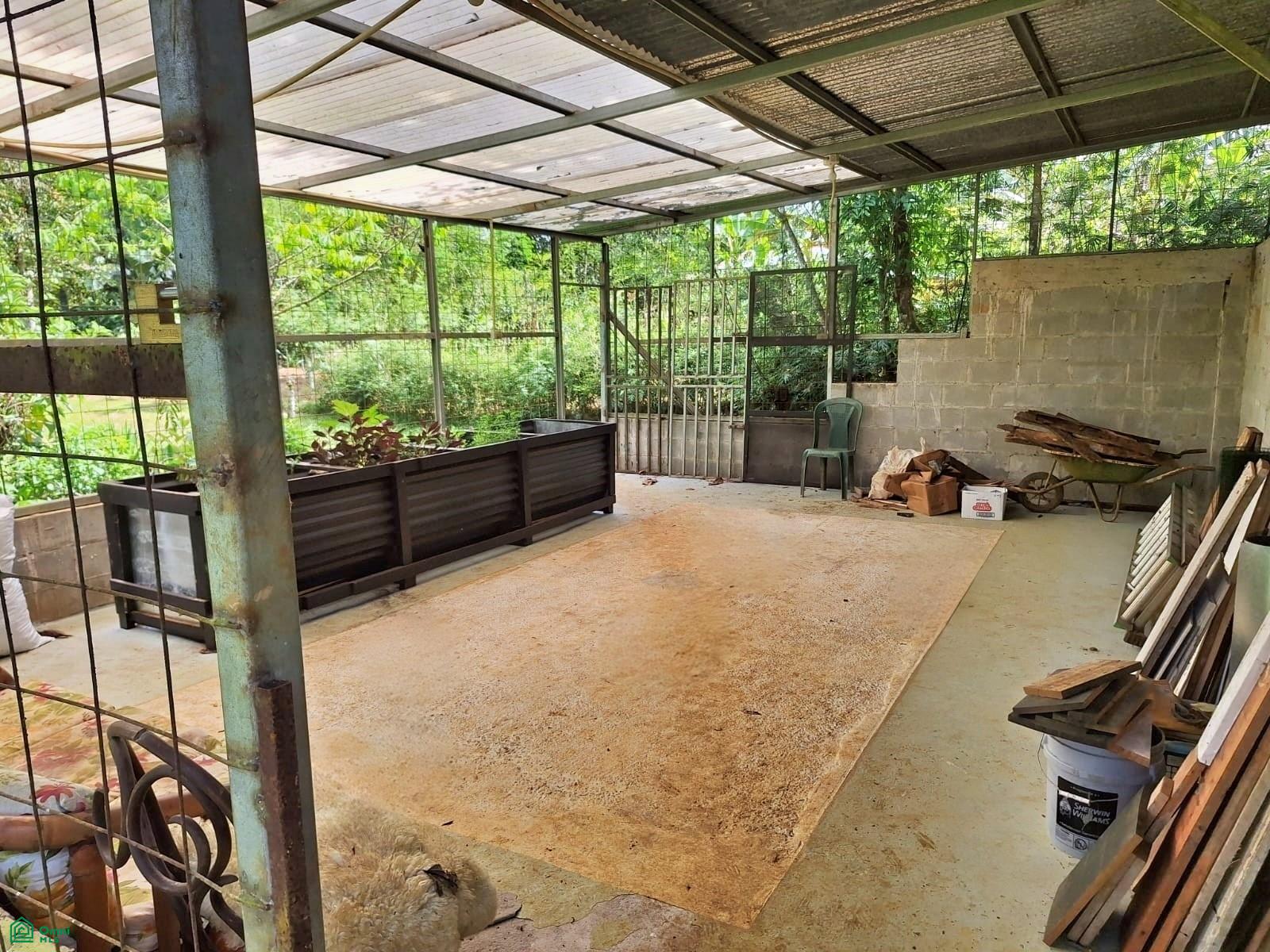 Tropical Bird Watcher’s Paradise