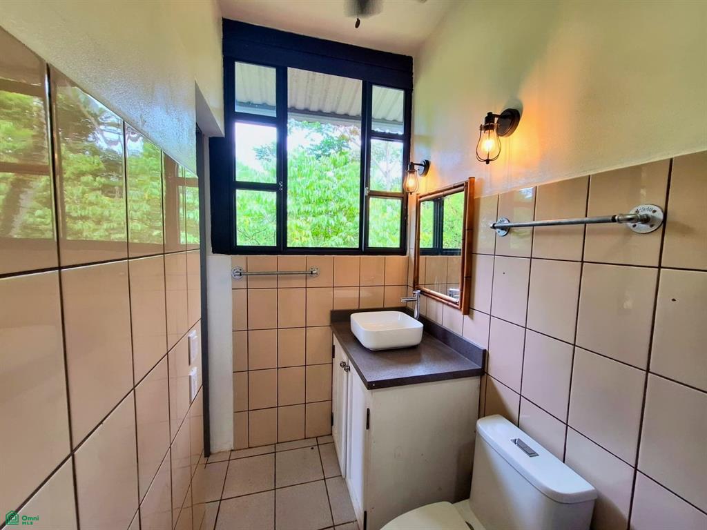 Tropical Bird Watcher’s Paradise