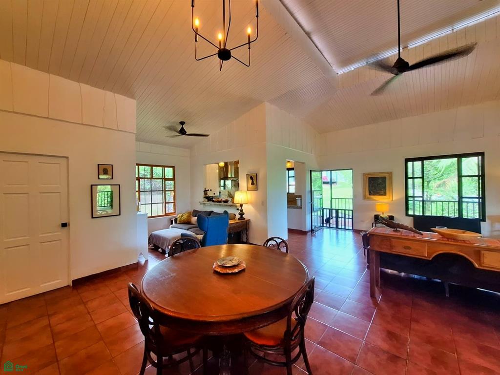 Tropical Bird Watcher’s Paradise