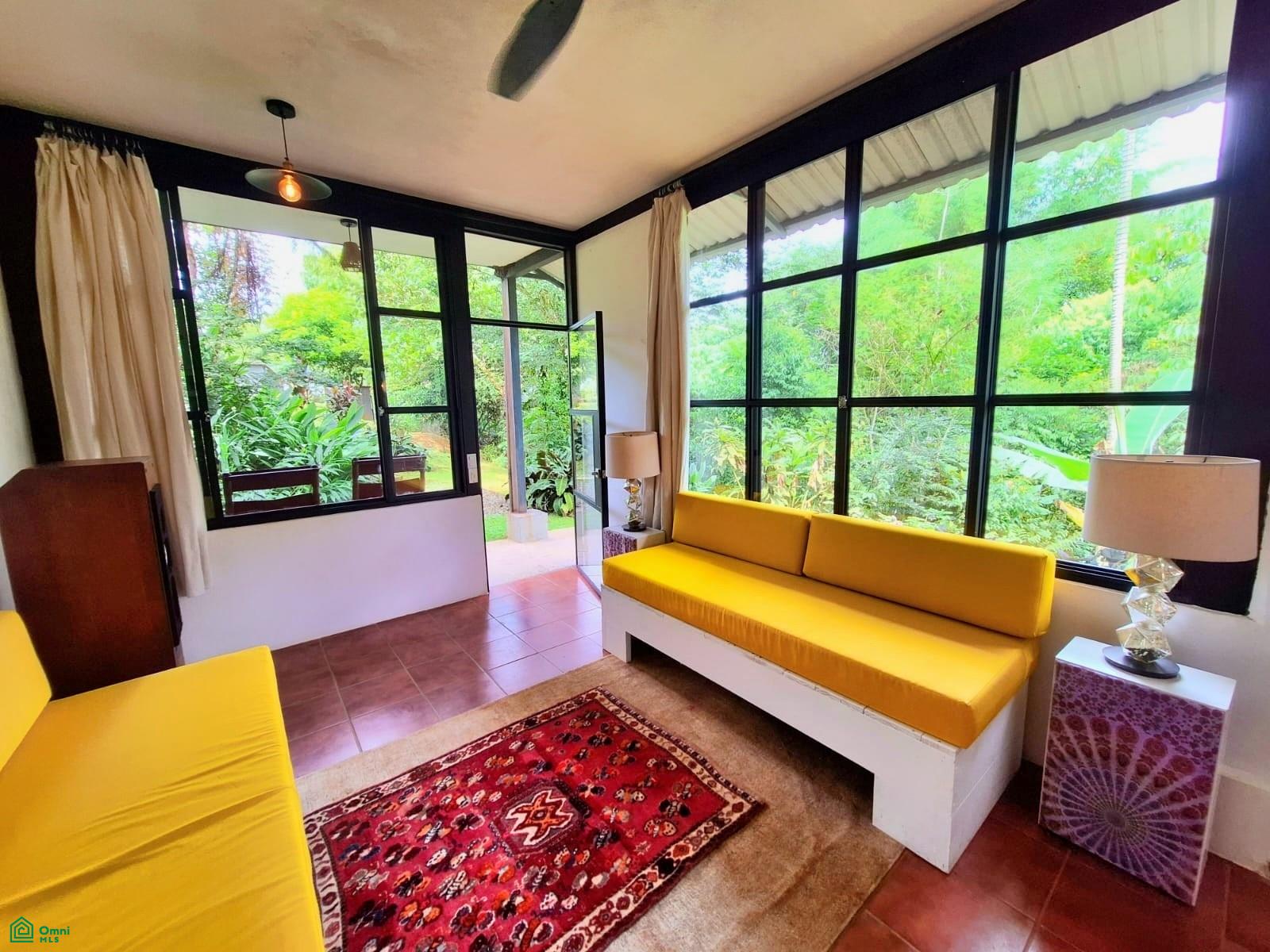 Tropical Bird Watcher’s Paradise