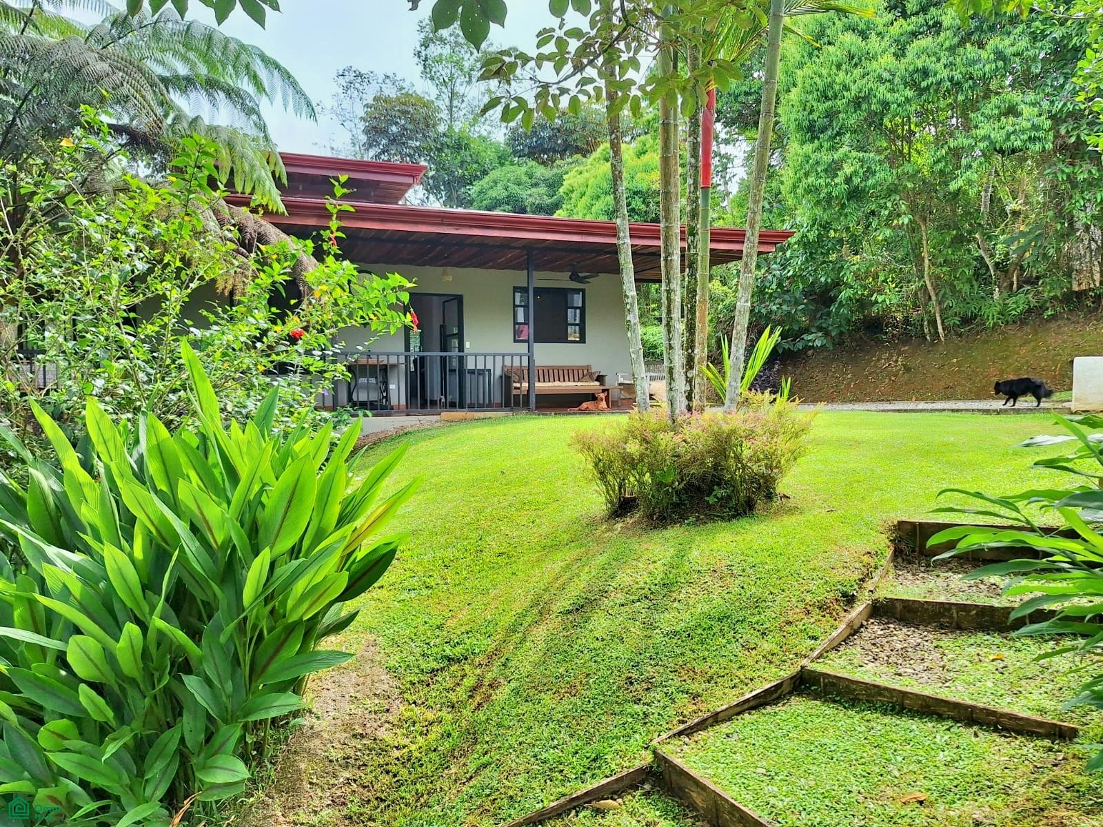 Tropical Bird Watcher’s Paradise