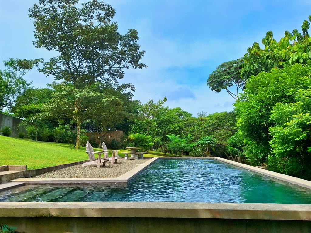 Tropical Bird Watcher’s Paradise