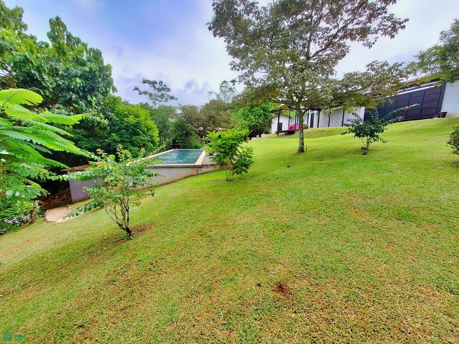 Tropical Bird Watcher’s Paradise