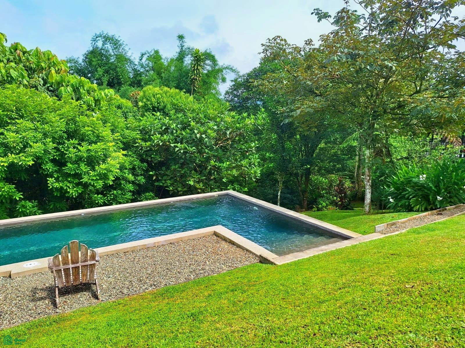 Tropical Bird Watcher’s Paradise
