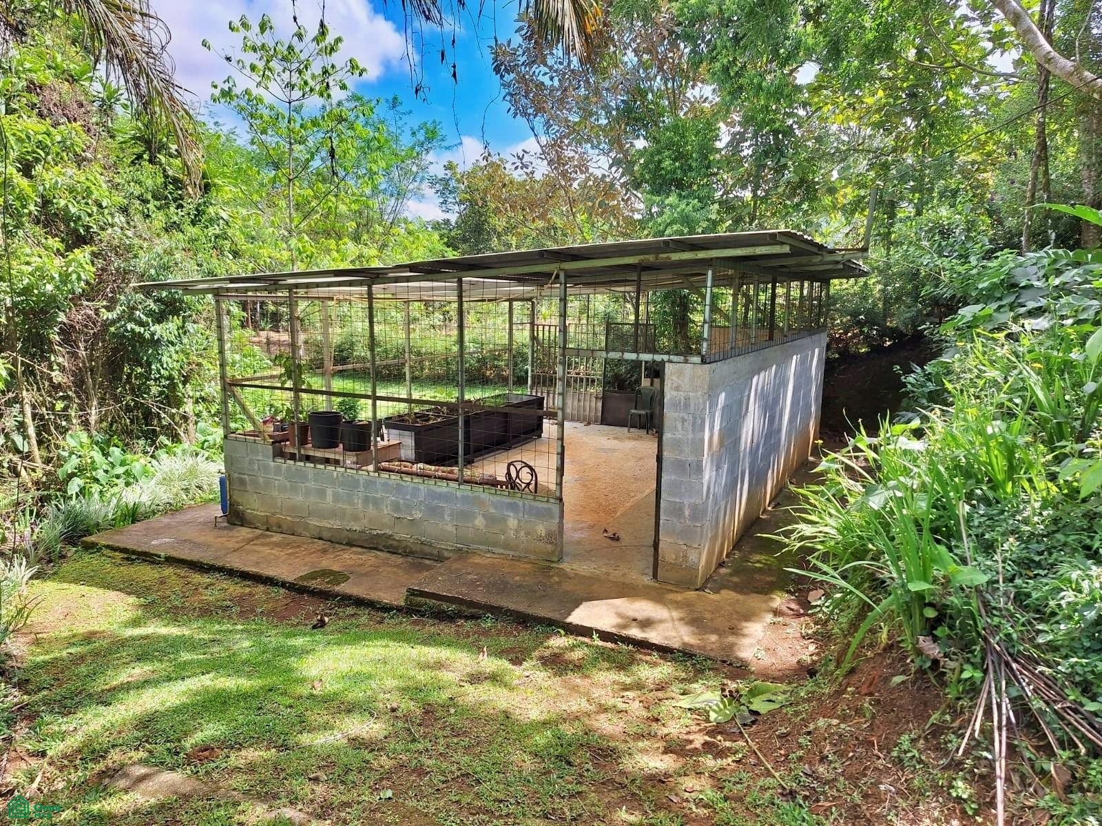 Tropical Bird Watcher’s Paradise