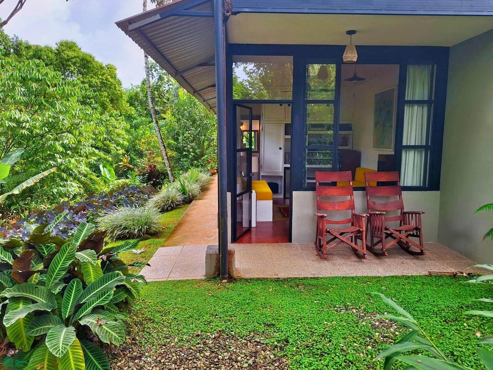 Tropical Bird Watcher’s Paradise
