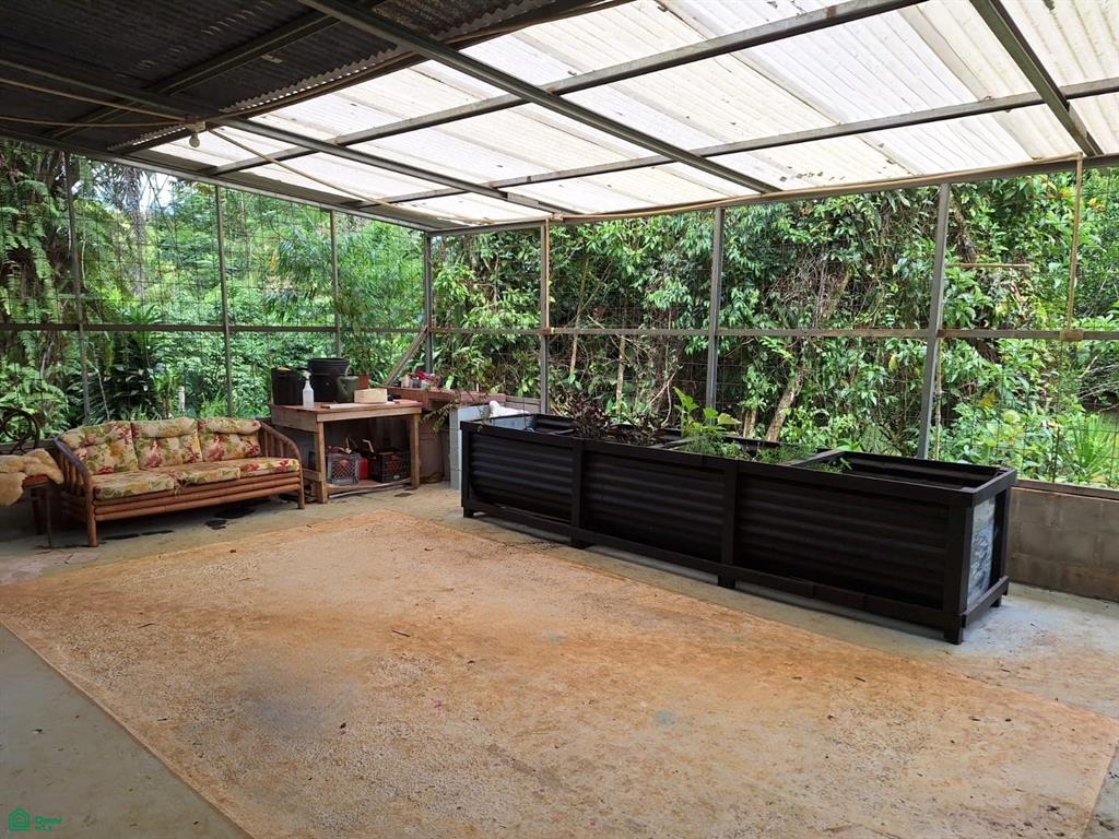 Tropical Bird Watcher’s Paradise