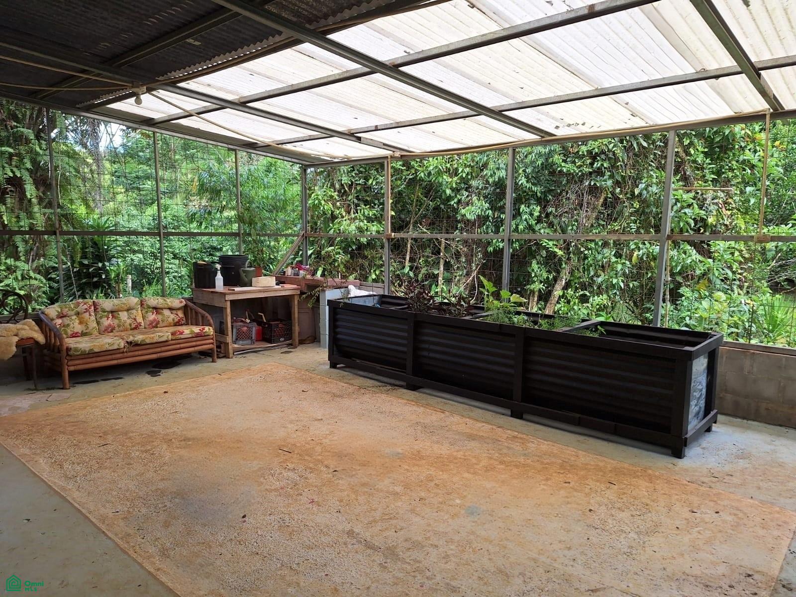 Tropical Bird Watcher’s Paradise