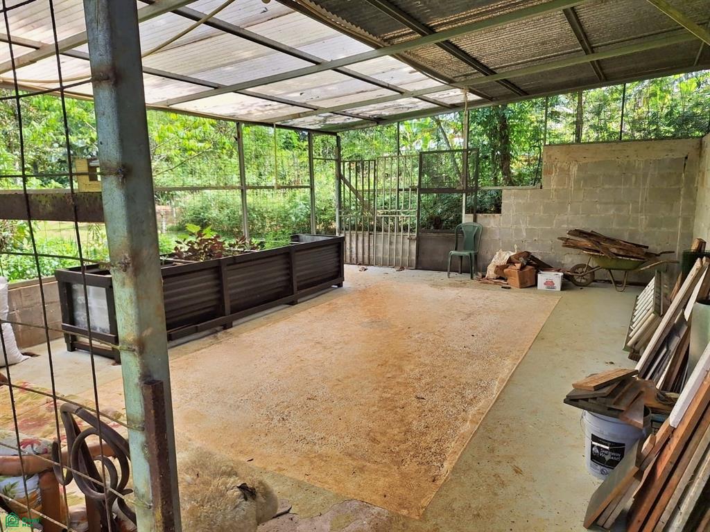 Tropical Bird Watcher’s Paradise